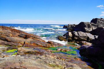 Wall Mural - Atlantic ocean waves and Rocks along coastline in Portland, Maine, USA	