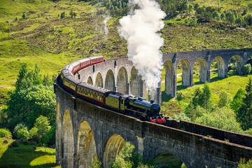 Canvas Print - Glenfinnan Railway Viaduct in Scotland with the steam train passing over