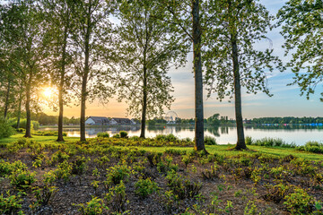 Willen Lake south bay seen from the woods