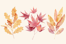 Set Of Autumn Leaves Branch In Watercolor Style