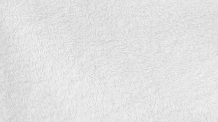 White clean wool texture background. light natural sheep wool. white seamless cotton. texture of fluffy fur for designers. close-up fragment white wool carpet...