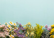 Leinwandbild Motiv Herbal tea ingredients with various fresh herbs and flowers,  on pastel background, top view, frame.