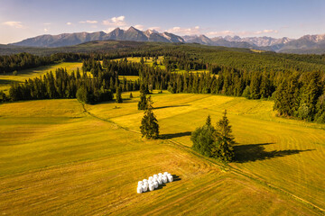 Poster - Farm fields and meadows on rolling hills in high Tatra mountains in Poland at summer