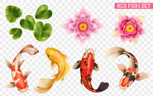 Koi Fish Transparent Set