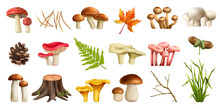 Mushrooms Forest Realistic Set