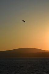 Poster - Sonnenuntergang am Meer