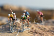 Cyclisme cycliste vélo champion Tour de France maillot à pois montagne