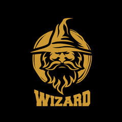 Poster - Modern wizard logo. Vector illustration