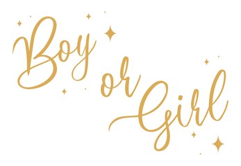 Boy or girl hand drawn modern lettering - Baby shower announcement banner, card - Gender reveal party - Vector illustration isolated