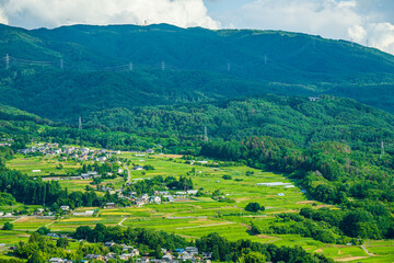 Canvas Print - 中山霊園から見る自然風景　東山方面