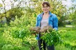 © Valerii Honcharuk - Woman in gardening gloves holding bush of phlox paniculata plant with roots for dividing planting