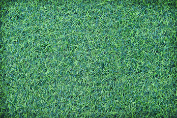 Green grassy texture decorative in garden top view background