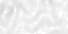 Abstract Design With Black And White Abstract Background . Topography Map Concept. 3d Rendering . Creative And Similar Design With White And Black Tone Paper Cut Wave Curve With Blank Space Design 