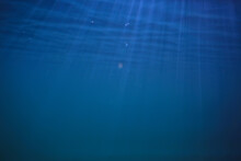 Ocean Water Blue Background Underwater Rays Sun / Abstract Blue Background Nature Water