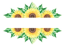 Sunflowers Horizontal Template. Watercolor Vintage Illustration. Isolated On A White Background.