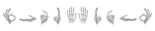 Set Of Hand Drawn Skeleton Hands In Different Positions. Vector Phalanx Bone Hands Isolated On White Background. Tattoo. Occultism, Esoteric, Spiritual Design Elements. Death. Mexico. Halloween.