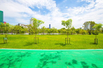 Empty green bike track in city public park