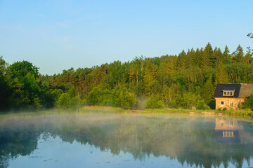 Wall Mural - summer lake with morning fog, morning fog on a lake