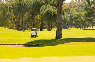 Wall Mural - Golf course with a golf cart in bright colors