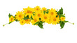 decorative element of floral border and frame of yellow flowers