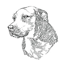 Large Dog Portrait. The Black And White Drawing Of A Dog Isolated On The White Background. Animal Head Cuts Or Pen And Ink Stipple Drawings. Vector Hand Drawing Illustration.