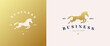 Jumping horse logo in luxury gold color