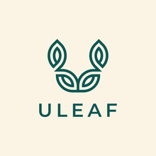 Initial Letter U With Leaf Or Leave Line Outline Logo