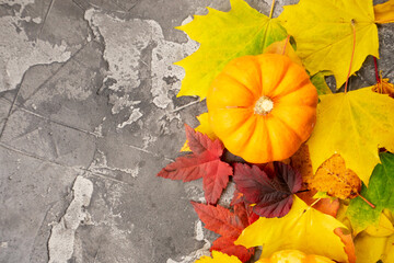 Wall Mural - pumpkin on table