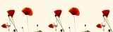 Fototapeta Kwiaty - Panel szklany do kuchni czerwone maki na kremowym tle