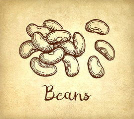 Canvas Print - beans ink sketch