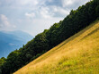 © Nikokvfrmoto - Hillside of a mountain in Valle Intelvi