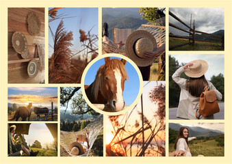 Inspiring mood board. Collage with beautiful and aesthetic photos