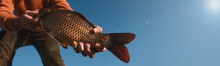 Fisherman Holding Caught Fish Against Blue Sky, Closeup View With Space For Text. Banner Design