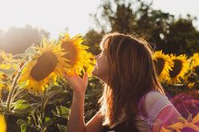 A Beautiful Young Girl With Them Red Hair Smells A Flower In A Field Of Sunflowers At Sunset, Nature, Landscape, Joy