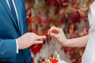 Wall Mural - bride and groom hands with rings