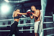 © zamuruev - Two sportsmans, woman and man boxers fighting in gloves. Boxing and fitness concept