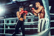 © zamuruev - Two sportsmans, woman and man boxers fighting in gloves. Boxing and fitness concept