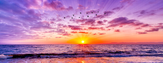 Wall Mural - Sunset Ocean Sun Ray Inspirational Colorful Ocean Header Banner Motivational Hope Beautiful Birds