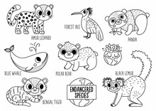 Vector Black And White Endangered Species Set. Cute Line Extinct Animals Collection. Funny Illustration For Kids With Amur Leopard, Blue Whale, Black Lemur. Nature Protection Coloring Page.