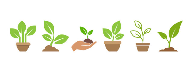 Sprout plant icon set design template vector illustration