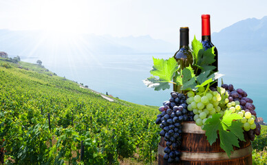 Canvas Print - Red and white wine bottles and grapes on wine barrel