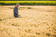 © Westend61 - Farmer wearing cap walking in wheat field