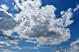 Fototapeta Sawanna - blue storm clouds during spring