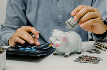 Wall Mural - Hand man person holding dollar and calculator saving in pig bank. business finance economy investment tax accounting money and coin deposit concept.