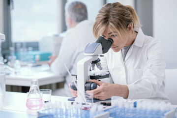 Wall Mural - medical researcher working in the lab
