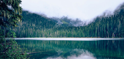 Wall Mural - Forest lake is in the fog, Joffre Lake, British Columbia, Canada