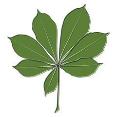 Wall Mural - Vector chestnut leaf outline and coloured icon. Simple chestnut leaves illustration for logo. Realistic hand drawn leaves illustration set on white background.