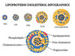 CholesterolInfographic Set