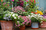  Patio garden with containers full of colorful flowers, Container gardening and flower display idea.
