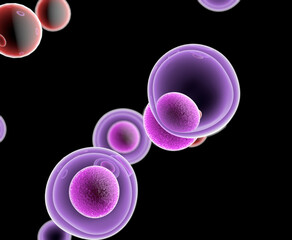 Wall Mural - t cells attacking cancer cells, 3d illustration